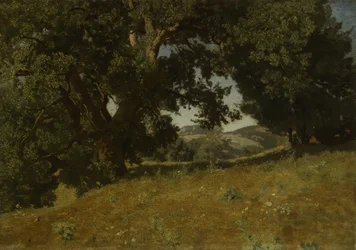 Krajobraz