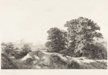 Dęby w Vaux de Cernay