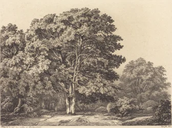 Wejście do lasu, 1840 r.