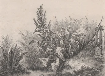 Wielka fabryka doków wodnych, 1840.
