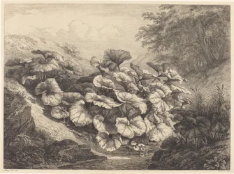 Duża Podbiał, 1843.