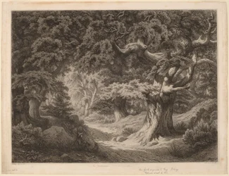 Las Karola Wielkiego w Fontainebleau, 1861.