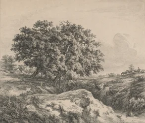 Dąb nad wąwozem, 1845.