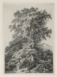 Studia rysowane i grawerowane według natury: plaża, Fontainbleau..., 1840.