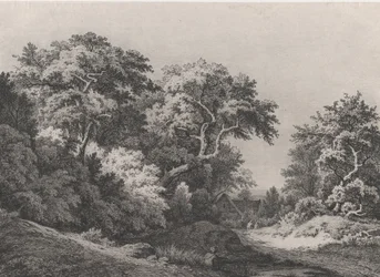 The Edge of the Woods, niedaleko Rambouillet, 1860.