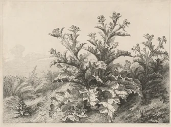 Wielki Oset (Le Grand Chardon)