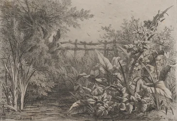 Staw, 1857.