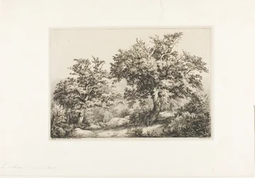 Dwa dęby, Fontainebleau