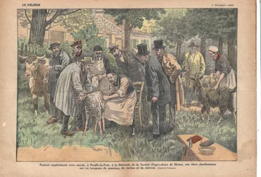 W Pouilly-le-Fort, na prośbę Melun Agricultural Society, Pasteur pomyślnie przetestował swój wirus wąglika na stadzie owiec, krów i kóz., Le Pèlerin, 11.05.1922 (druk)