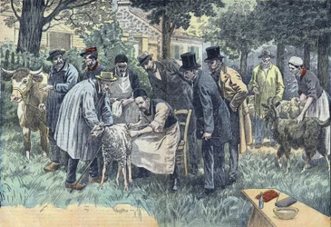 Louis Pasteur (1822-1895), francuski biolog z powodzeniem eksperymentował w Pouilly-le-Fort na prośbę Towarzystwa Rolniczego Melun ze swoim wirusem wąglika na stadach owiec, krów i kóz. Rysunek Damblans.