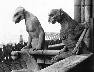Gargulce z balustrady Grande Galerie fasady zachodniej, replika oryginału z XII wieku (kamień) (zdjęcie czarno-białe)