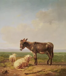 Osioł i owce, 1849