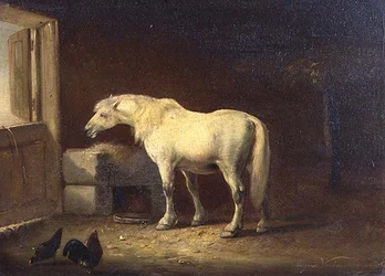 Biały koń w stajni (panel)
