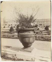 Wersal, Wazon Ballina, 1902.