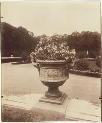 Wersal, Wazon Ballina, 1902.