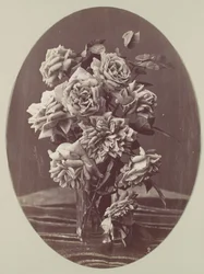 [Róże], ca. 1875.