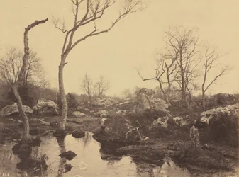 Belle Croix, ok. 1858 r. (zdjęcie)