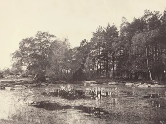 Bagno na płaskowyżu Piat Belle-Croix, c. 1863.