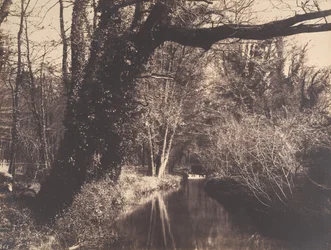 Park Courances, 1860-70.