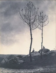 W pobliżu Cavern, Burnt Ground, początek lat 60. XIX wieku.