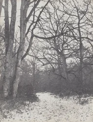 Droga w lesie, 1860-1863.