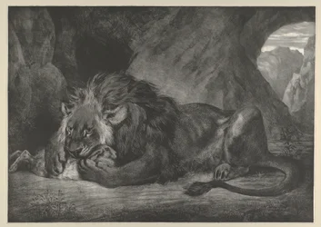 Lew gór Atlas, 1829-30., 1829-30.