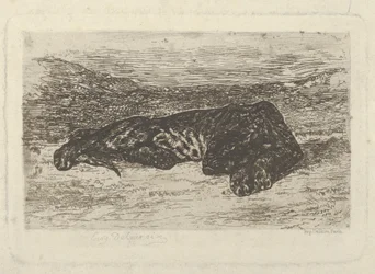 Tygrys leżący na pustyni, 1846., 1846 .