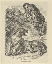 Tygrysica zaatakowana przez tygrysa podczas karmienia młodych, 1853., 1853.