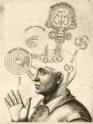 Schemat ludzkiej myśli i czterech zmysłów, ok. 1650 r. (rycina)