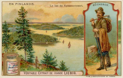 Drwal i jezioro i lasy w pobliżu Kesamonsaari