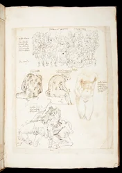 Ms 701 fl.34v, Rysunek z widokiem na Spinario od tyłu, koniec XV w. (pióro i atrament na papierze)