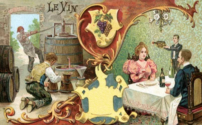 Wino, 1899
