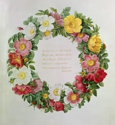 Claude-Antoine Thory Les roses, Frontispiece: Girlanda z epigrafem Ody V greckiego poety Anakreona, 1817 (litografia)