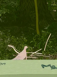 Gołąb żałobny na ścianie Prospect Park, ok. 2020-24 (grafika cyfrowa)