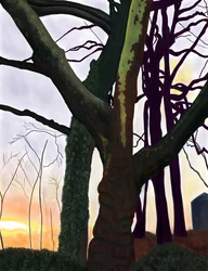 Drzewa, Prospect Park, Brooklyn (grafika cyfrowa)