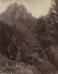 Bez tytułu, ok. 1884.