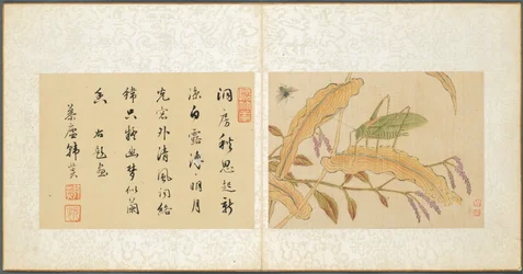 Album różnych tematów, karta 7, 1600s.