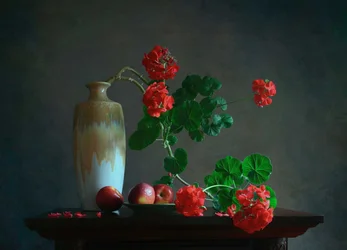 Martwa natura z pelargoniami i owocami