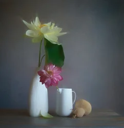 Miękka kompozycja z lotosem