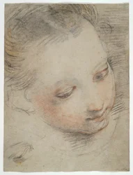 Głowa dziewczyny, studium dla postaci w ołtarzu Madonna del Popolo w Uffizi