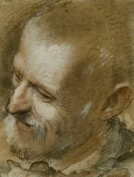 Studium głowy brodatego mężczyzny zwróconego w lewo, 1590