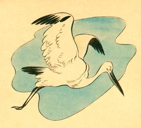Ilustracja barwna