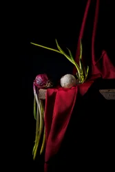 Cebula dymka odmiany Moody