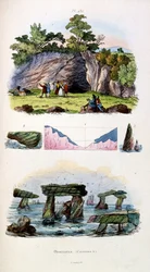 Ilustracja botaniczna i zoologiczna autorstwa F. E. Guerin. Z Dictionnaire pittoresque d