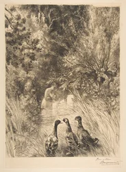 Zaskoczone kaczki, 1882.