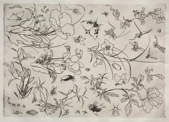 Serwis obiadowy Serwis Rousseau: Kwiaty i Owady nr. 15, 1866.