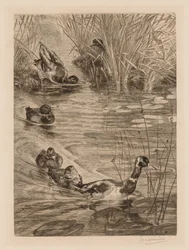 Bawiące się kaczki, ok. 1870.
