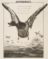 Kaczka, 1856.