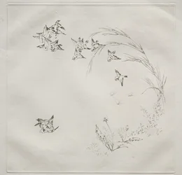 Służba Paryska (Haviland): Walka (nr 2)