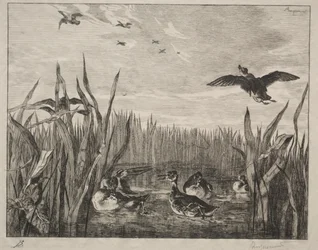 Turkusowy, 1853.